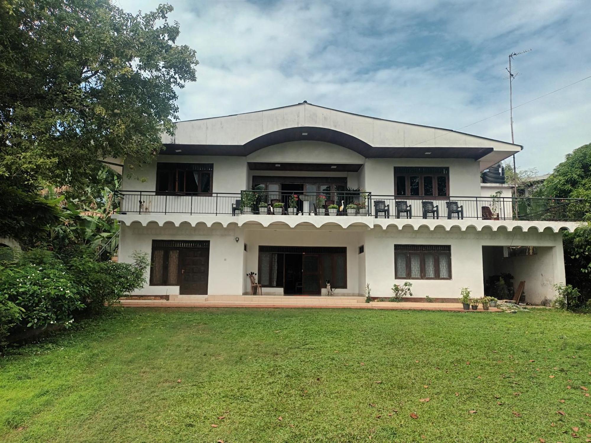Lovely Flowers In Mount Lavinia Dehiwala-Mount Lavinia Exterior foto
